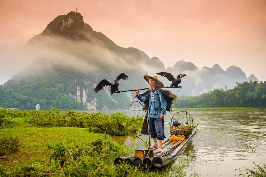 Pescador cormorán tradicional descalzo sobre una balsa de bambú, China. Sosteniendo una percha con dos cormoranes de alas extendidas.